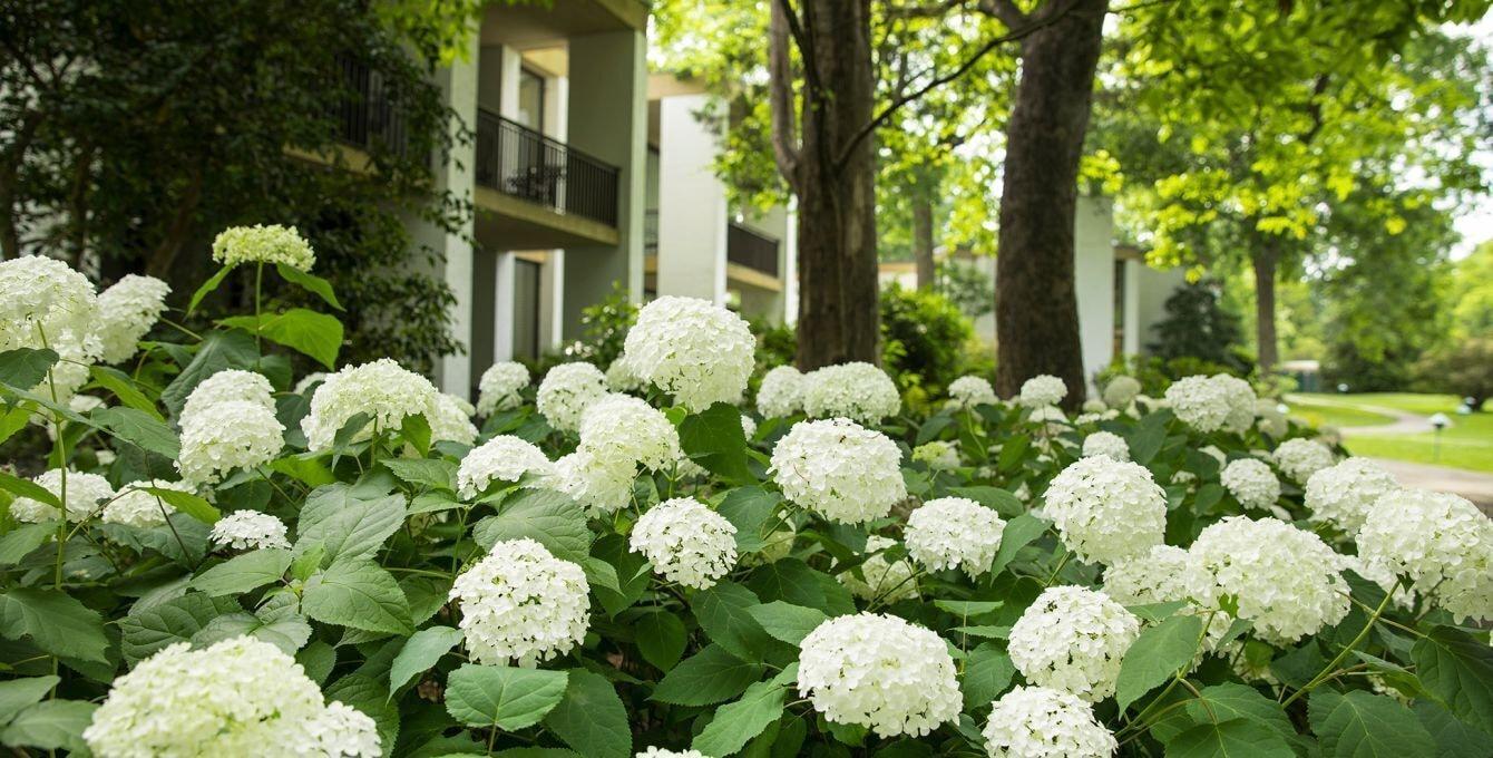 Griffin Hotel, An Official Colonial Williamsburg Hotel Ngoại thất bức ảnh